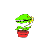 Image ID: A gif of a cartoonish venus fly trap, repeatedly snapping at the air. End ID.